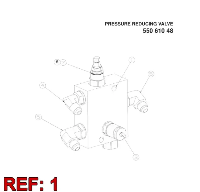 SECTION BODY
