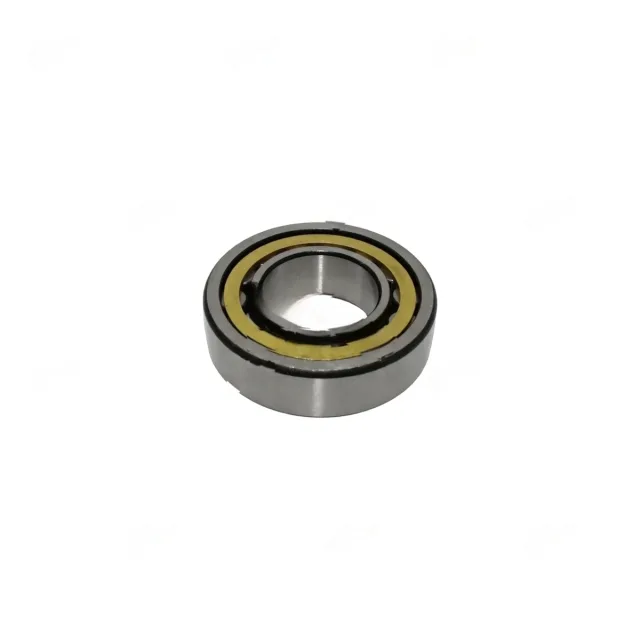CYL.ROLLER BEARING