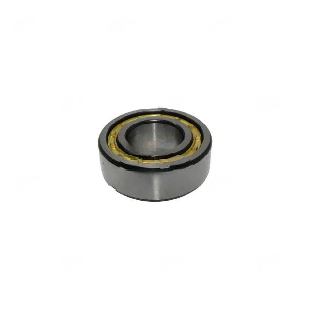 CYL.ROLLER BEARING